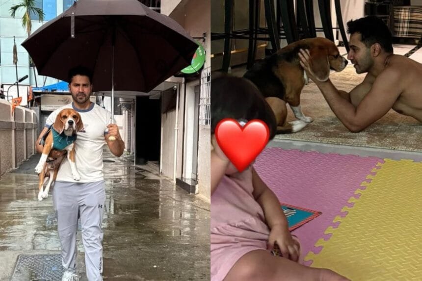Varun Dhawan