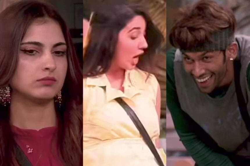 Bigg Boss 19: Baseer Ali Wins Captaincy