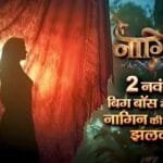 Naagin 7 on 2nd November