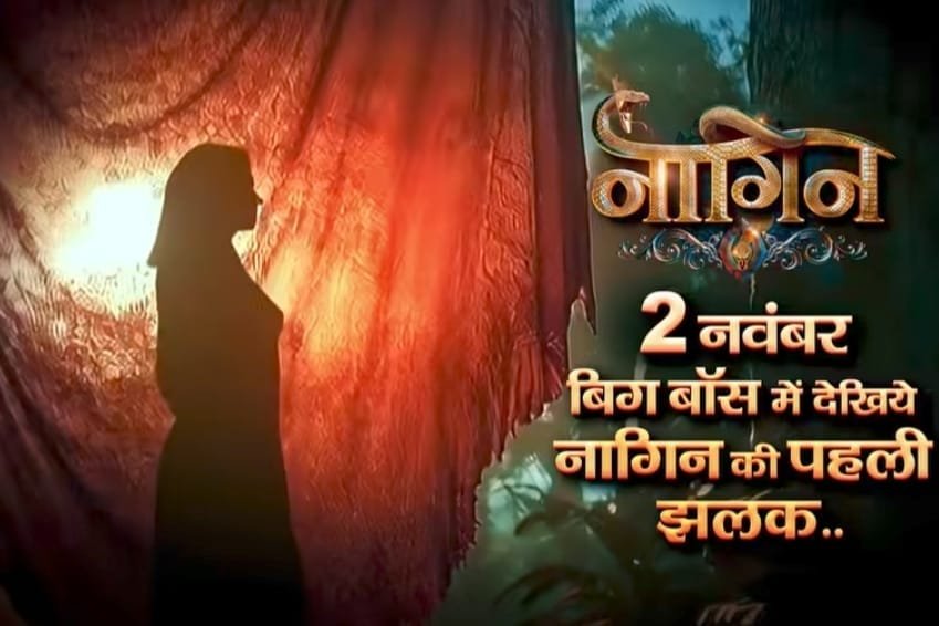 Naagin 7 on 2nd November